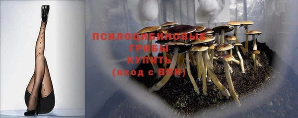 стафф Армянск