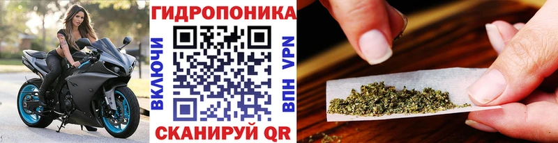 Бошки Шишки AK-47  закладки  Заполярный 